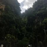 Western Jianghu Project - Discography (2025)