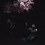 Daedric - As the Light Left