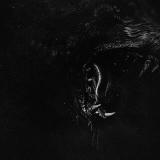 Mortal Reminder - Discography (2024 - 2025)