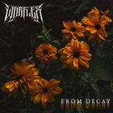 Warflex - From Decay