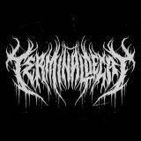 Terminal Decay - Discography (2024 - 2026)