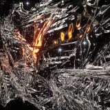 Good Tiger - The Most Negative Day of the Year (Lossless)