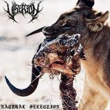 Viserion - Natural Selection