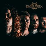 Omnivortex - Discography (2020 - 2026) (Lossless)