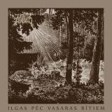 Zintnieks - Ilgas pēc vasaras rītiem