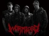Wormlord - Discography (2023 - 2026) (Upconvert)