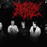 No Sign Of Life - Discography (2025 - 2026)