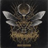 Eaten By Insects - Insectecution (EP)