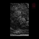 Aeger Anima - The Falling Leaves (EP)