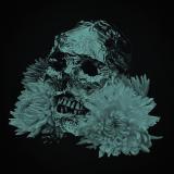 Soft Curse - Liminal Ritual (Upconvert)