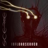 Scerile - Inflorescence Scerile - Inflorescence