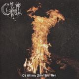Skoll - Of Misty Fire We Are (Lossless)
