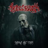 Procession - Shadows Have Fiends (Lossless)