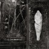 Wolves in the Throne Room - Estuary