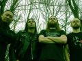Brutal Rebirth - Discography