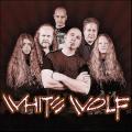 White Wolf - Discography (1984 - 2008)