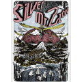 Thee Silver Mt. Zion Memorial Orchestra - Discography