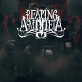 Reaping Asmodeia - Discography
