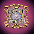 Gov't Mule - Discography (1995-2013)