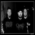 Carnal Disfigurement - Discography (2009 - 2011)