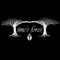 Time's Forest - Wandering (ЕР)