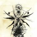 Denouncement Pyre  - Black Sun Unbound
