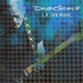 David Gilmour - L.A 3rd Night (Live)