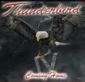 Thunderbird - Coming Home IV