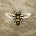 Bees Made Honey in the Vein Tree - Medicine (Upconvert)
