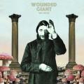 Wounded Giant - Vae Victis