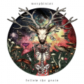 Morphinist - Follow The Grain