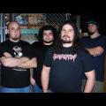 Digested Flesh - Discography (2004 - 2010)