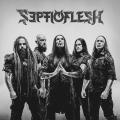 Septicflesh - (Septic Flesh) Discography (1991 - 2022)