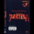Pantera - Reinventing Hell (DVDRip)