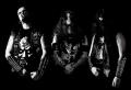 Maze of Terror - Discography (2012 - 2021)