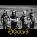 Exocrine - Discography (2015 - 2024)