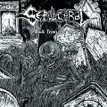 Sepulchral - Back From The Dead (Compilation)