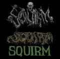 Squirm - (ex-Predigest) - Discography (2011 - 2018)