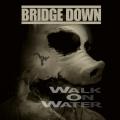 Bridge Down - Walk on Water