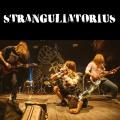 Stranguliatorius - Discography (2012 - 2018)