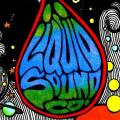Liquid Sound Company - Discography (1996 - 2021)