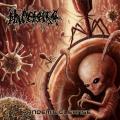 Placenta Powerfist - Pandemic Cleanse