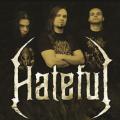 Hateful - Discography (2010 - 2013)