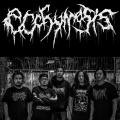 Ecchymosis - Discography (2014 - 2018)