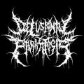 Delusional Parasitosis - Discography (2013 - 2017)