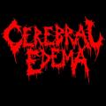 Cerebral Edema - Discography (2017 - 2018)