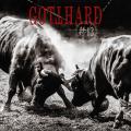 Gotthard - #13 (Limited Edition) (Lossless)