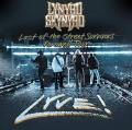 Lynyrd Skynyrd - Last Of The Street Survivors Farewell Tour Lyve (Live) (Blu-Ray)