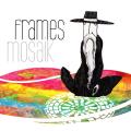 Frames - Discography (2009 - 2014)