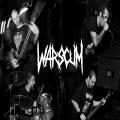 Warscum - Discography (2014 - 2020)